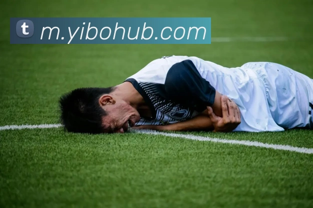 亿博体育服务体系